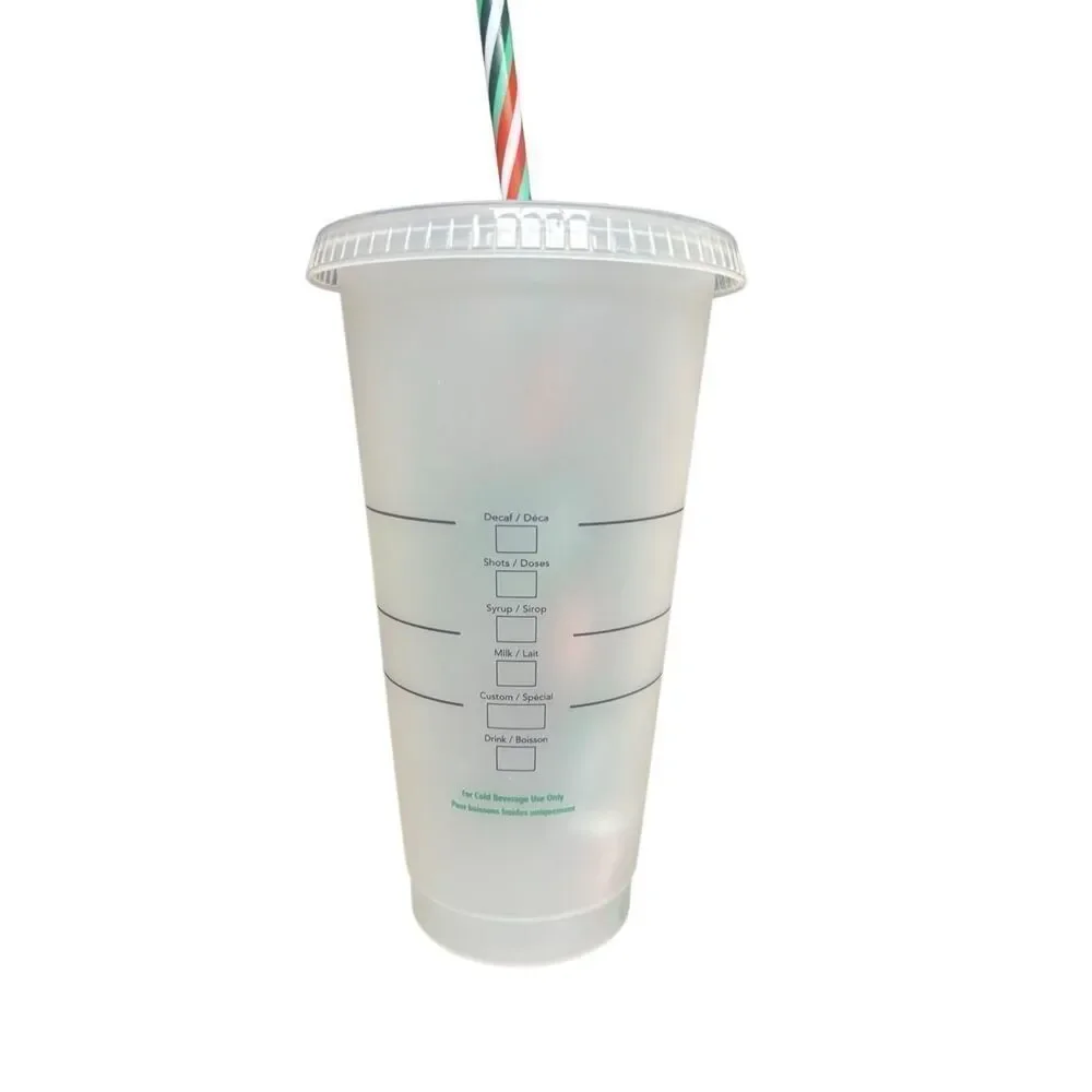 Starbucks Reusable Frosted Plastic Cold Cup With Lid and Straw